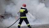 Pożar samochodów w Gdańsku. Strażacy interweniowali przy ul. Kolonia Zręby
