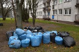 Liście w workach od miesięcy zalegają na trawniku przy ulicy Wiśniowej w Kielcach. Kto je poprząta? 