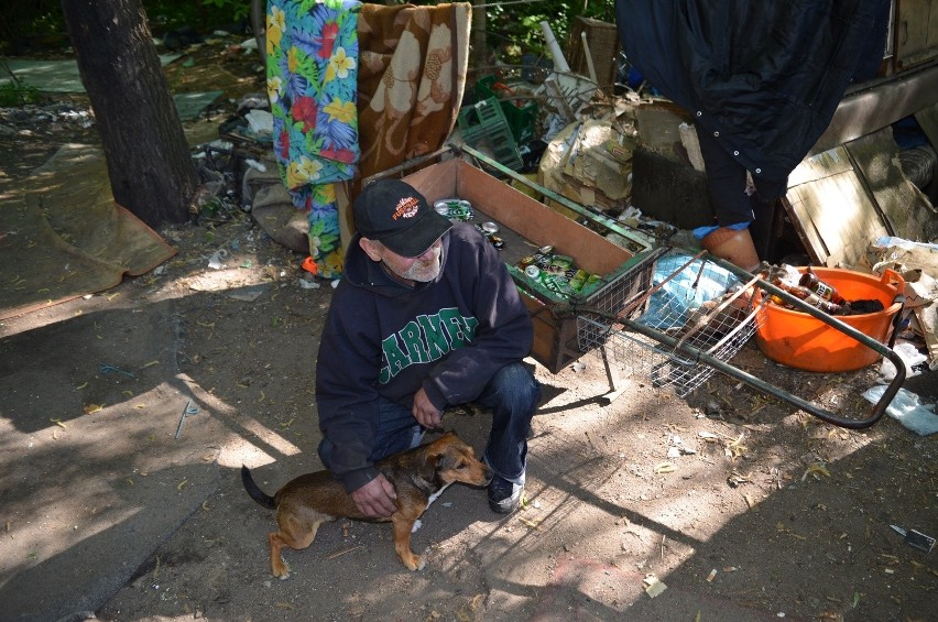 Straż miejska pomogła zaszczepić psy bezdomnych [ZDJĘCIA]