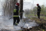 Skatowali kompana po alkoholowej libacji na działkach w Strzelinie. Ciało schowali w altanie i ją podpalili