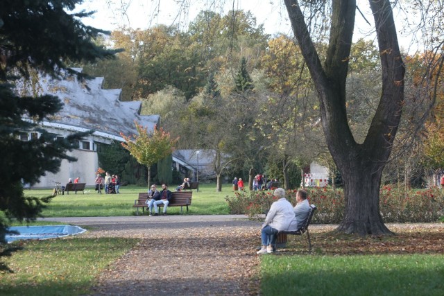 Park Śląski ogłosił przetarg na dostawę 476 mebli parkowych - ławek, koszy na śmieci, leżanek i stołów piknikowych