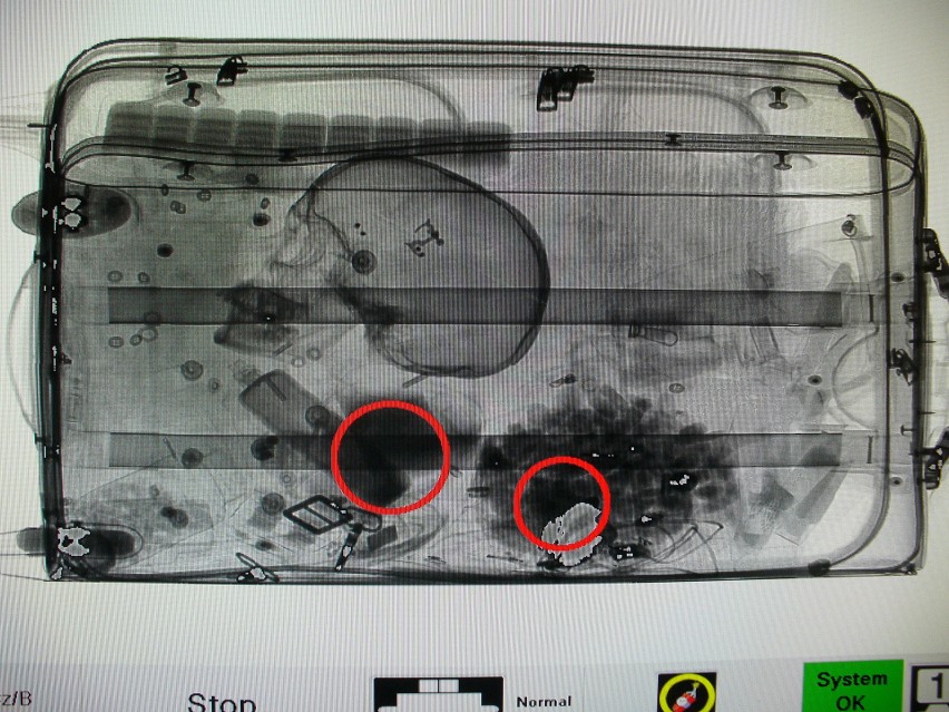 Mieszkanka Danii przewoziła w bagażu.. ludzką czaszkę.