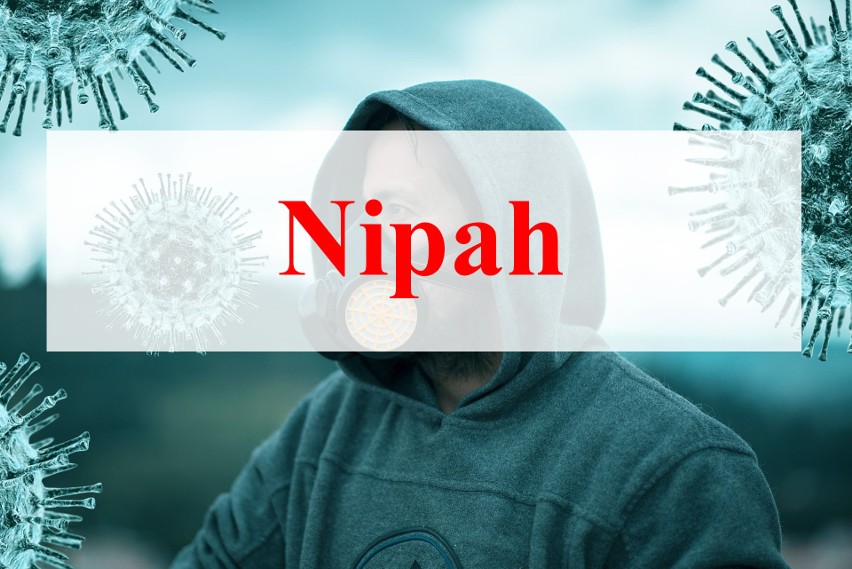 Wirus Nipah - wirus ten przenoszony jest przez nietoperze...