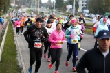 AmberExpo Półmaraton Gdańsk 2016. Biegli 21,195 km przez miasto [WYNIKI, ZDJĘCIA, WIDEO]