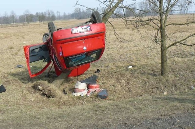 Fiat zawisł na drzewie.