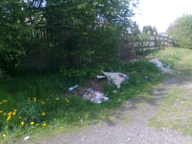 Śmieci zalegają przy ogródkach działkowych, na końcu ulicy Samsonowicza w Kielcach.