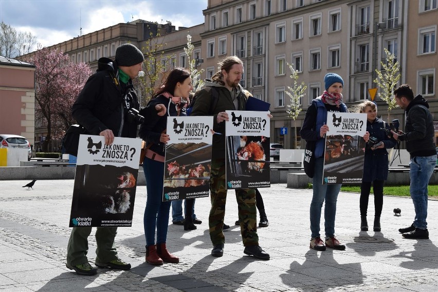 Częstochowa: Protest przeciwko hodowli kur w klatkach ZDJĘCIA