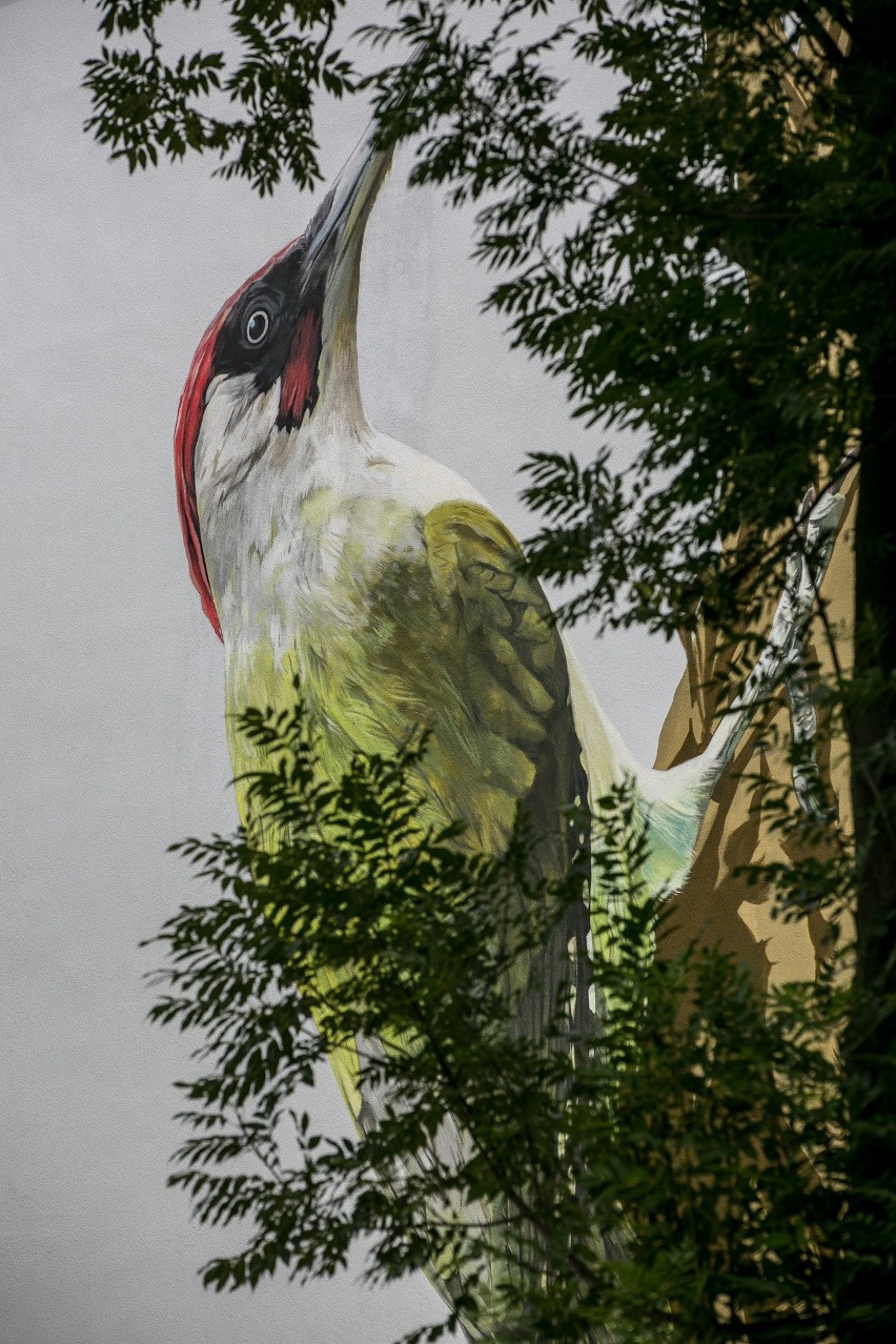 Kraków. Piękny mural na Kozłówku. Spółdzielnia zapowiada...