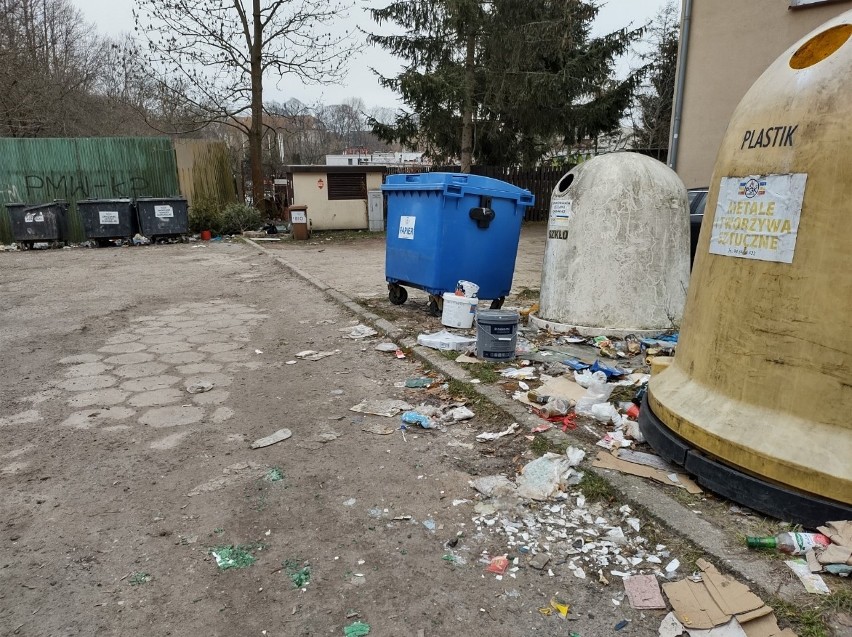 Toną w śmieciach za koszalińskim amfiteatrem przy ulicy Kościuszki [ZDJĘCIA]