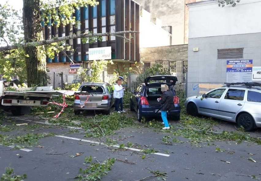 Wichura w Łodzi. Na ul. 6 Sierpnia drzewo runęło na jadące samochody! [zdjęcia]