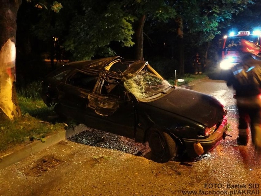 Wypadek w Bielsku-Białej. Pijany kierowca wypadł z drogi [ZDJĘCIA]