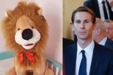 "Afera maskotkowa": pluszowy lew dla radnych kosztował 121,50 zł brutto. Jest odpowiedź władz Gdańska na interpelację Kacpra Płażyńskiego