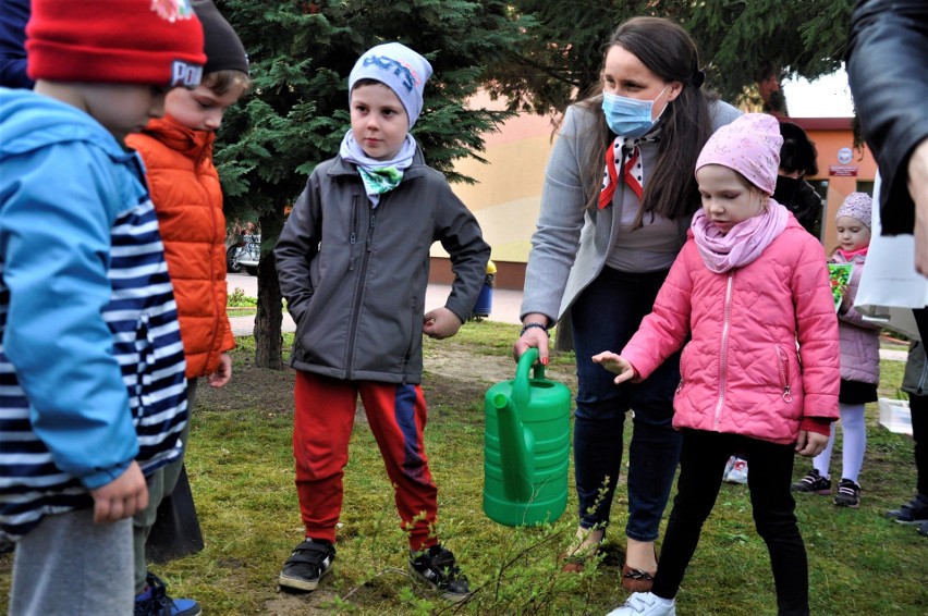 Nowe wyzwanie dla przedszkolaków w Połańcu  - udział w konkursie Poszukiwacze wiosny [ZDJĘCIA]