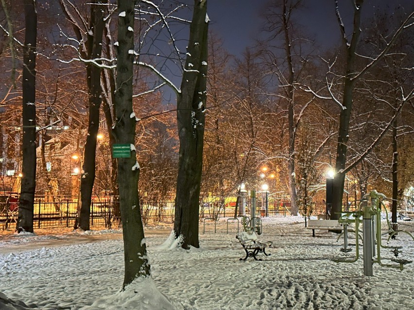 Park Chopina w Gliwicach w zimowej scenerii wygląda bajkowo.