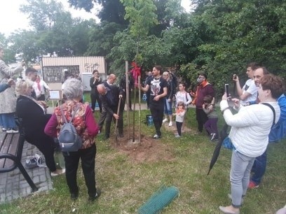 Lipa o imieniu Joanna. Kolejny protest przeciwko wycince drzew przy ul. Lipowej w Lublinie 