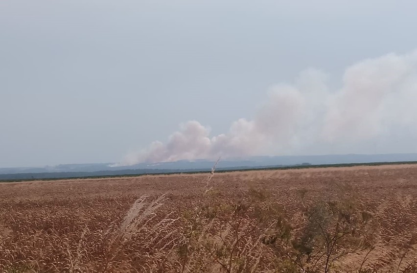 Pożar wybuchł w niedzielne popołudnie w okolicy Myszęcina.