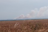 Lubuskie: Pożar w okolicy Myszęcina. Strażacy chronili las, zaraz dostali kolejne zgłoszenie