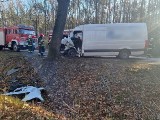 Wypadek w Ligocie Prószkowskej. Na DW 414 Opole - Prudnik samochód dostawczy uderzył w drzewo. Kierowca jest w stanie ciężkim