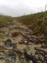 Ktoś wylał smołę w pobliżu drogi rowerowej. Cykliści biją na alarm. (zdjęcia)