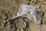 Ludzkie kości z resztkami ubrań i naszyjnikiem odkryto na działce z gruzem w Trzcinicy. Kto wykopał trumnę z szczątkami kobiety? 