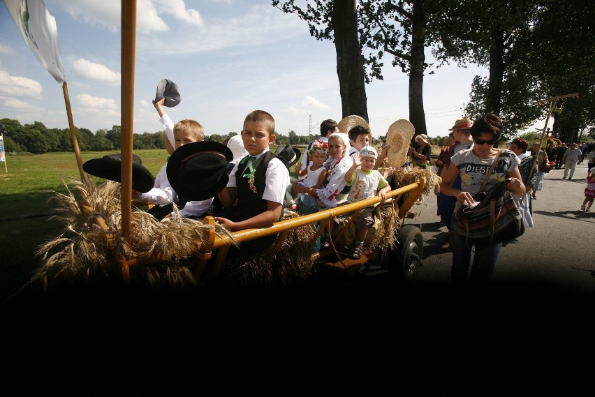 Dożynki województwa śląskiego w Bieruniu [ZDJĘCIA]