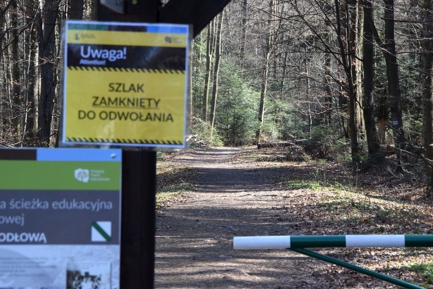 W Wielki Piątek odwiedziliśmy Świętokrzyski Park Narodowy. W...