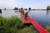 Skażenie Odry. Szef MON: Ponad 200 żołnierzy oczyszcza rzekę