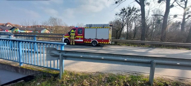 Trwa badanie próbek wody w celu ustalenia wpływu zanieczyszczenia na środowisko