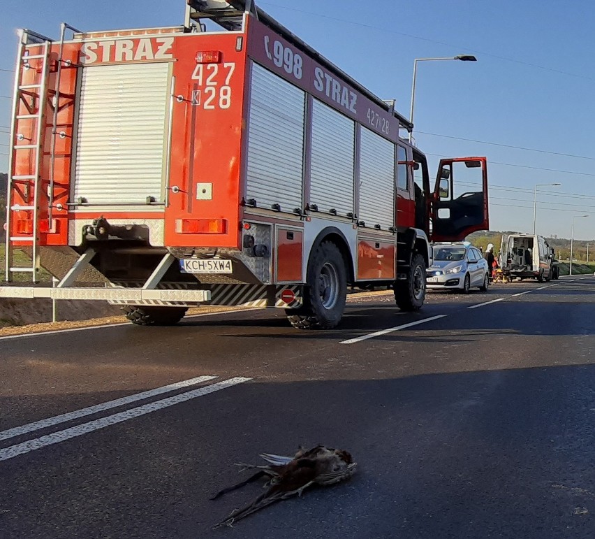 Po zdarzeniu z bażantem rannego motocyklistę zabrało do...