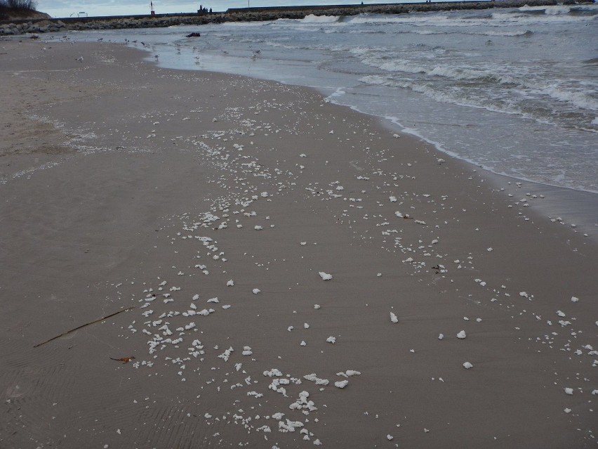 Wciąż akcja zbierania parafiny z plaży w Ustce.