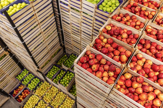 Wsparcie trafi do producentów jabłek lub organizacji producentów owoców i warzyw.