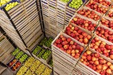 Nadzwyczajna pomoc dla producentów jabłek. Dostawy owoców zakończone, ostatnie dni na złożenie wniosków