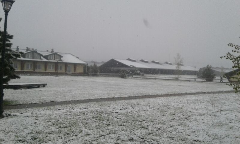 Zima wróciła w Beskid Niski. Śnieg sypie w Wysowej-Zdroju, Regietowie, Gładyszowie. Padać ma co najmniej do południa [ZDJĘCIA]