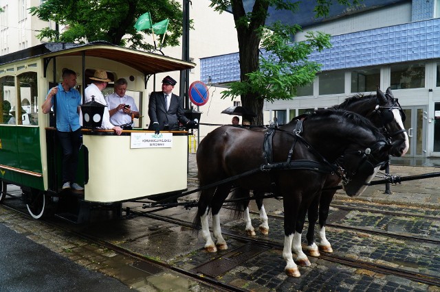 W 140. rocznicę istnienia komunikacji miejskiej w Poznaniu MPK zorganizowało jubileuszową paradę pojazdów. Przez centrum miasta, począwszy od ul. Zwierzynieckiej przez ulice Święty Marcin, al. Marcinkowskiego, 27 Grudnia, Fredry, Dąbrowskiego i Kraszewskiego przejechały tramwaje i autobusy - zarówno te, które obecnie wykorzystywane do przewozów pasażerskich, jak i te wycofane z ruchu liniowego, które można spotkać jedynie na liniach turystycznych i podczas okolicznościowych wydarzeń.Przejdź do kolejnego zdjęcia --->