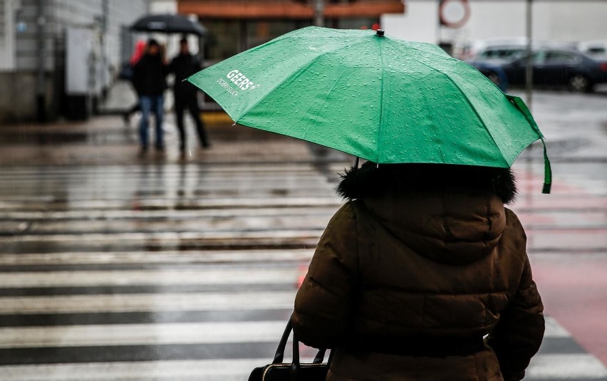 13.11.2019 gdansk. deszczowa pogoda. przejscie dla pieszych....