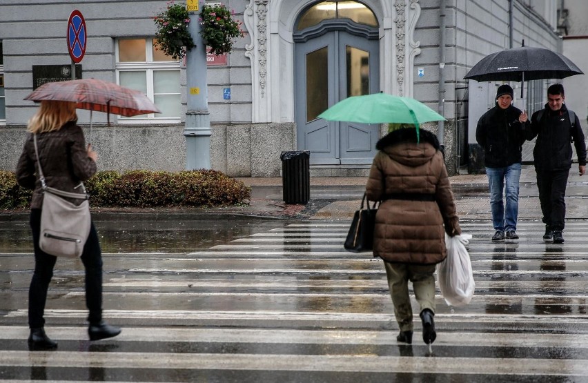 13.11.2019 gdansk. deszczowa pogoda. przejscie dla pieszych....