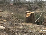 Wycinka drzew przy wysypisku w Bierkowie bulwersuje słupskiego radnego. Powstanie tam skład materiałów budowlanych