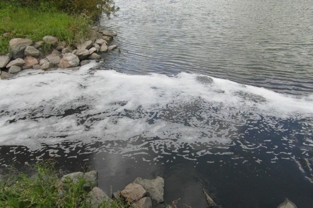 Do rzeki dostają się ścieki z dużą zawartością siarczków żelaza.
