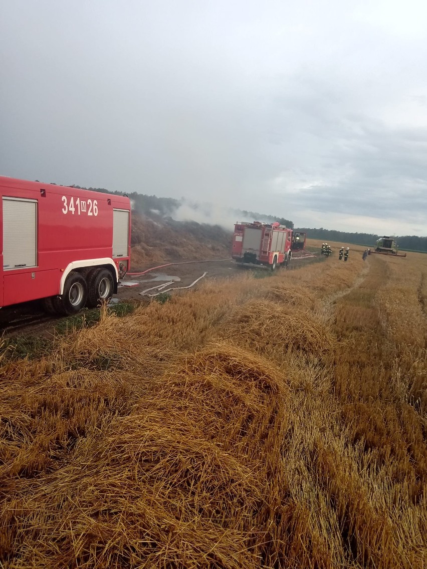 Pożar sterty obornika w Brzeźnie, gmina Goworowo. W akcji gaśniczej brało udział kilkudziesięciu strażaków. 23.07.2022. Wideo