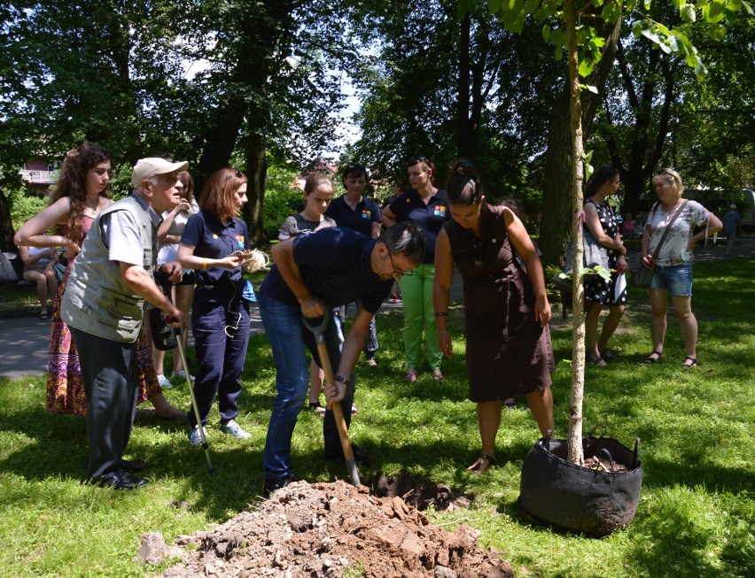 Ochrona środowiska. W Skawinie przybywa zieleni. W Parku Miejskim laureaci konkursów plastycznego i literackiego zasadzili 20 drzew. 
