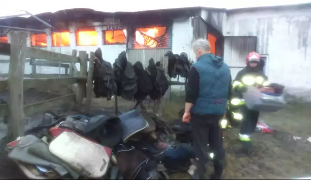 W pożarze stajni nikt z ludzi nie ucierpiał, ale spłonęły zwierzęta. Zniszczone zostało również oprzyrządowanie jeździeckie.