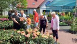 Święto Kwitnących Azalii w Iłowej. Na zakupy i relaks w ogrodzie ruszyły tłumy