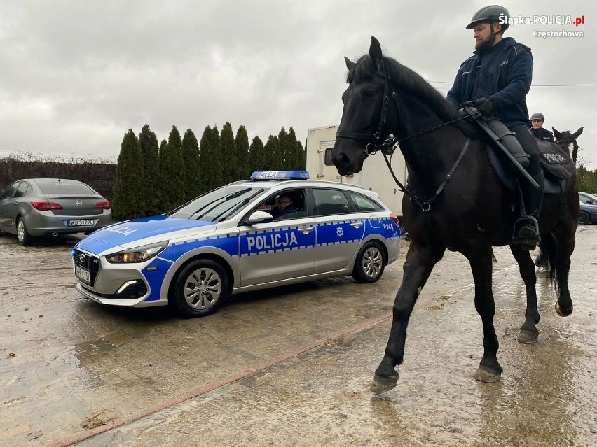 Kolejny policyjny jeździec i koń gotowy do służby w Policji....