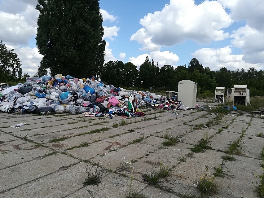 Największy nielegalny lumpeks w Poznaniu? Wywieźli 150 ton ubrań!