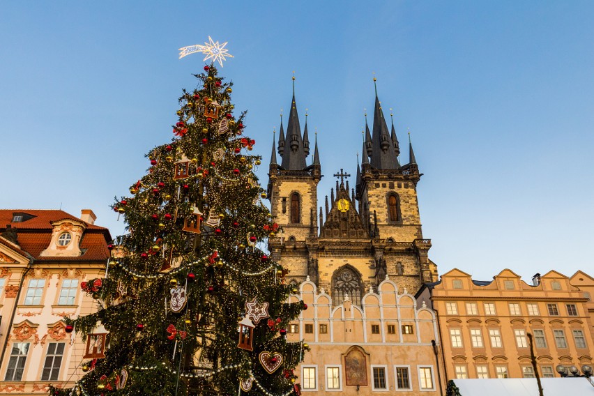 Ósme miejsce należy do Pragi – tamtejsze drzewko świąteczne...