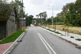 Inwestycje drogowe w gminie Pacanów na rekordowym poziomie