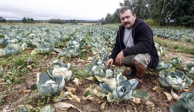 - Deszcz jest bardzo potrzebny, ale strat w uprawach już nie da się nadrobić - mówi Wojciech Szubart, rolnik z Krzemienicy.