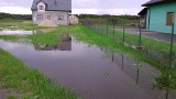 Powódź pod Lipskiem. Zalane plantacje i podwórka (zdjęcia czytelnika)
