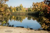 Jeszcze w tym roku Akademia Muzyczna złoży wniosek o pozwolenie na budowę nowej siedziby