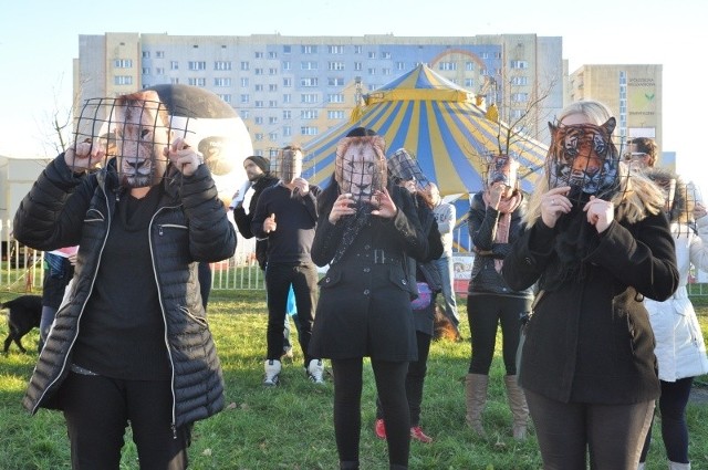 Protestujący mieli na sobie papierowe maski zwierząt.